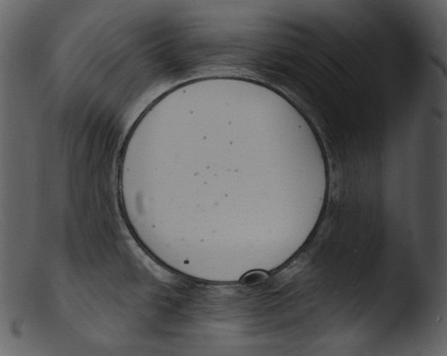 X0000103281438200809261215