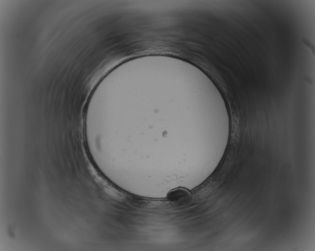 X0000103281439200809261215