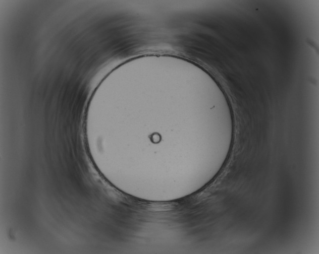 X0000103281440200809261215