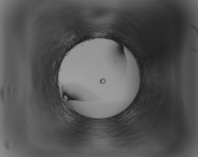 X0000103281441200809261214