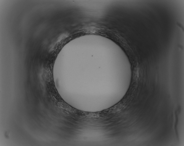 X0000103281446200809261214