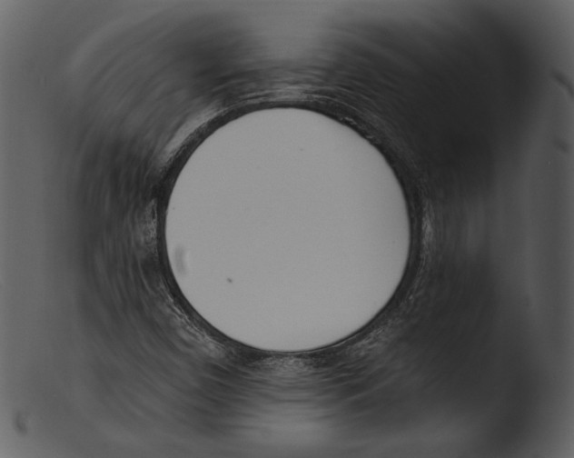 X0000103281450200809261214