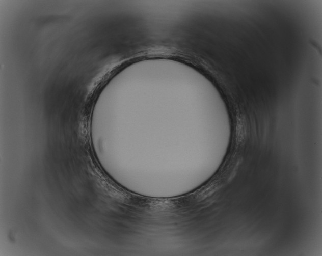 X0000103281454200809261214