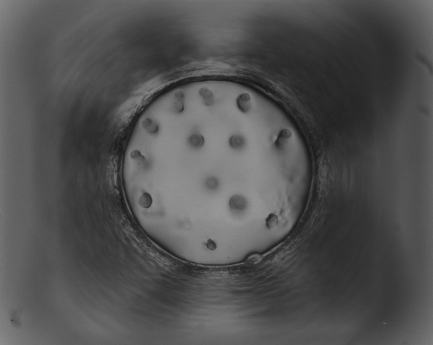 X0000103281455200809261214