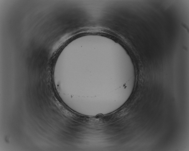 X0000103281456200809261214