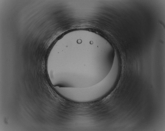 X0000103281457200809261214