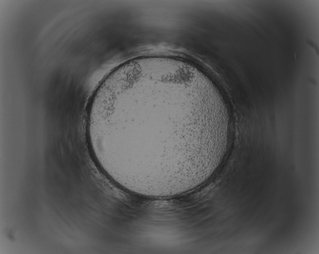 X0000103281463200809261214