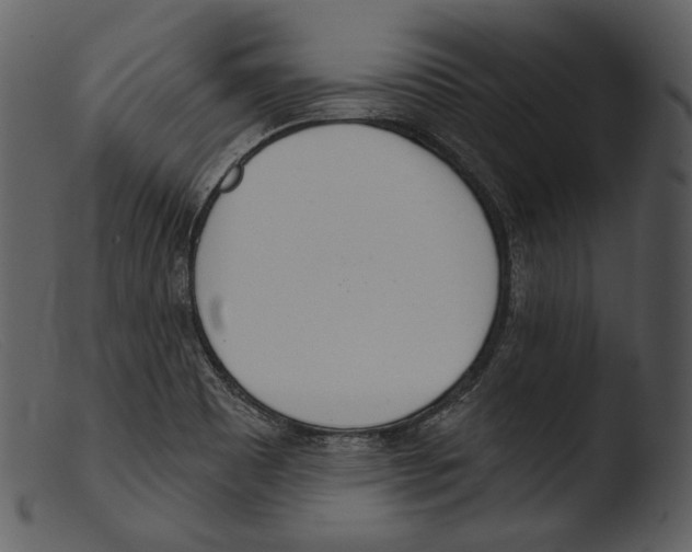 X0000103281465200809261214