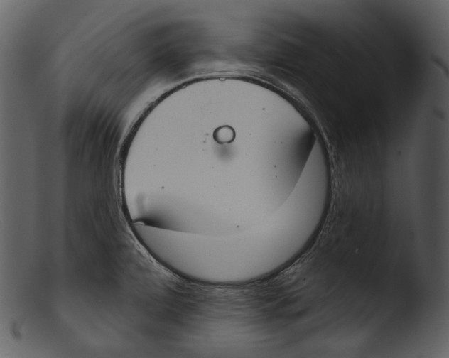 X0000103281472200809261214