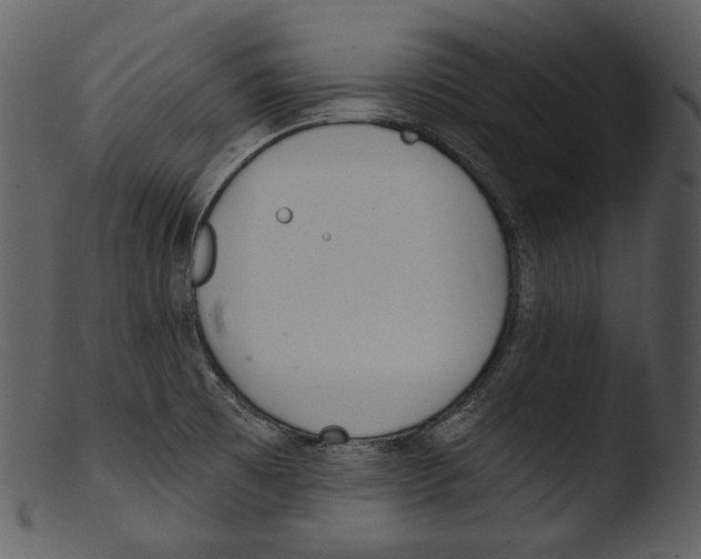 X0000103281473200809261214