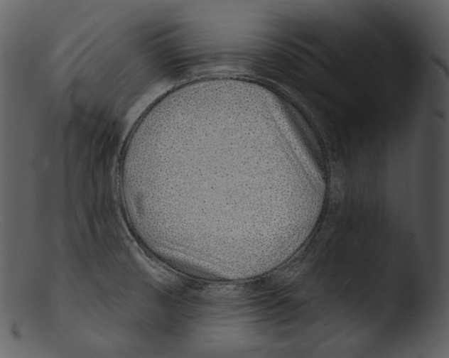 X0000103281474200809261213