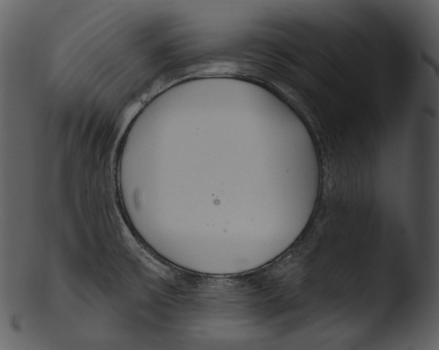 X0000103281475200809261213