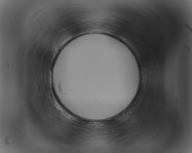 X0000103281476200809261213