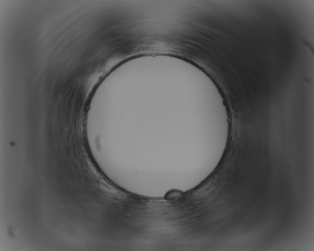 X0000103281477200809261213