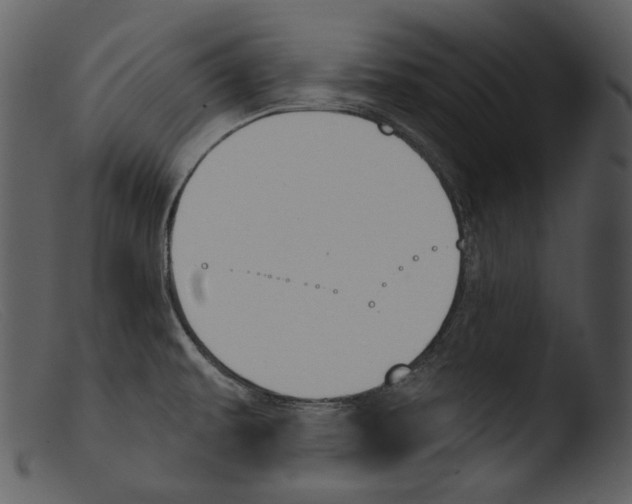 X0000103281479200809261213