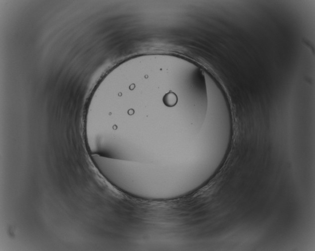 X0000103281480200809261213