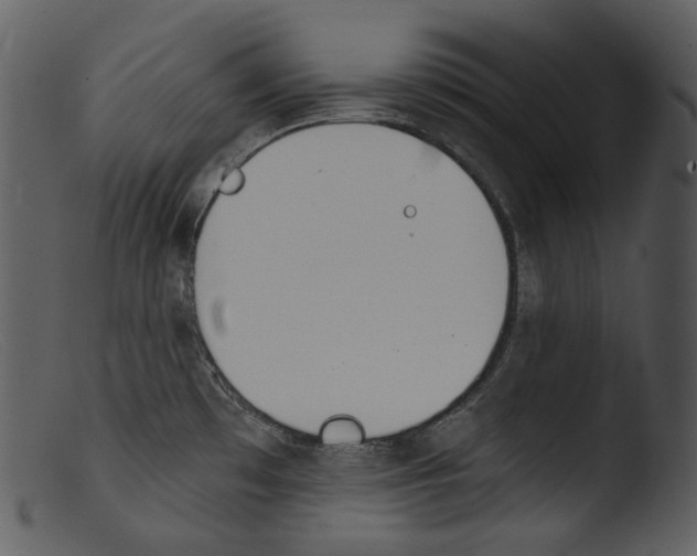 X0000103281481200809261213