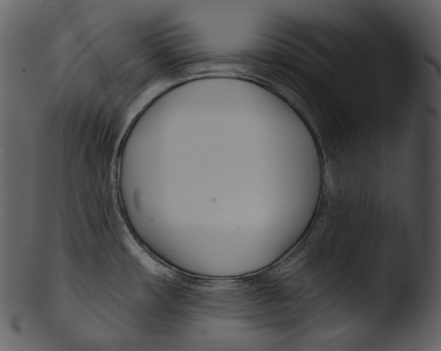 X0000103281482200809261213