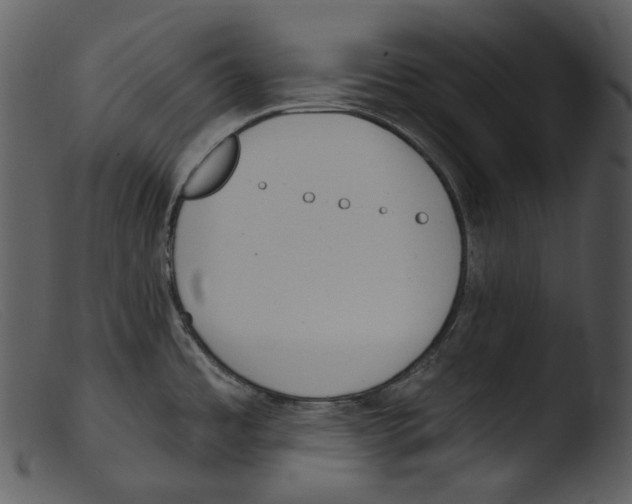 X0000103281485200809261213