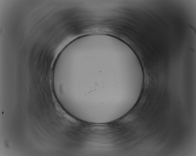 X0000103281486200809261213