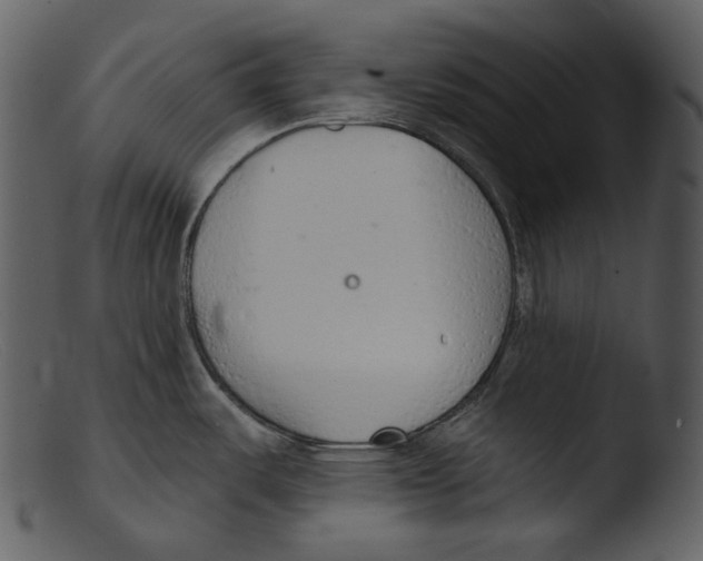 X0000103281487200809261213