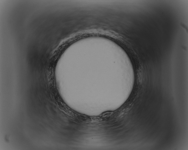 X0000103281494200809261212