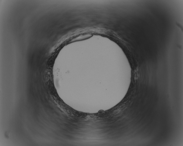 X0000103281496200809261213