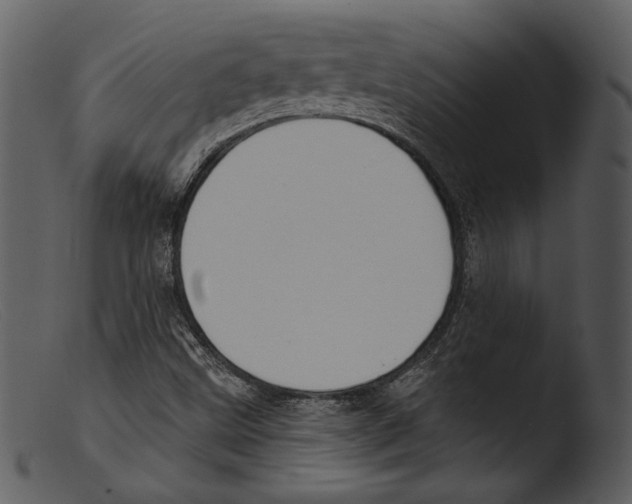 X0000103281499200809261213