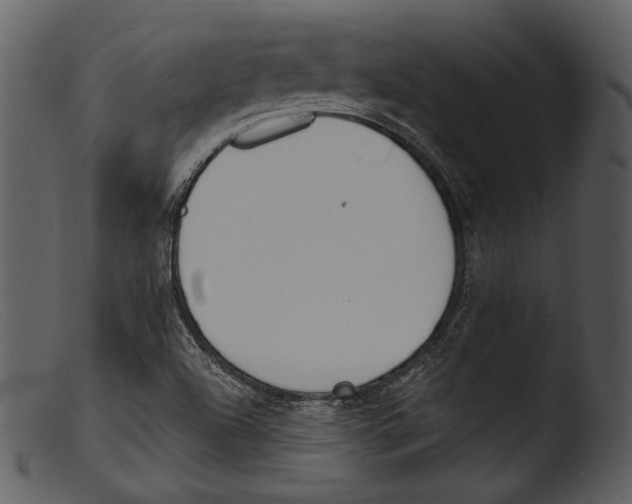 X0000103281504200809261213