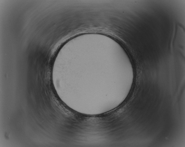 X0000103281506200809261213