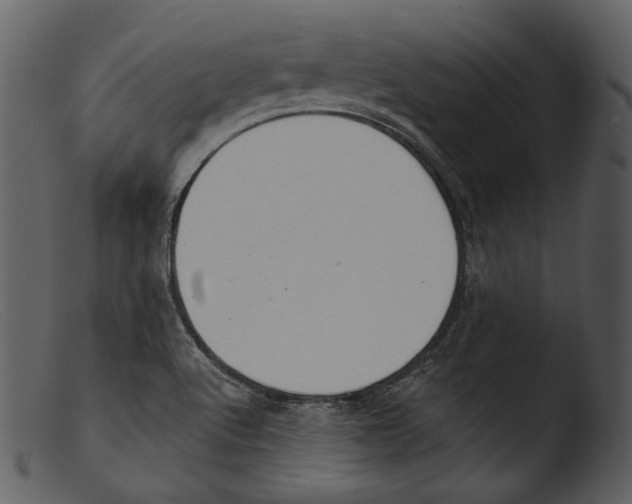 X0000103281512200809261213