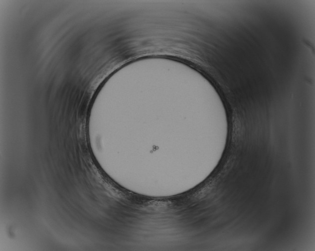 X0000103281513200809261213