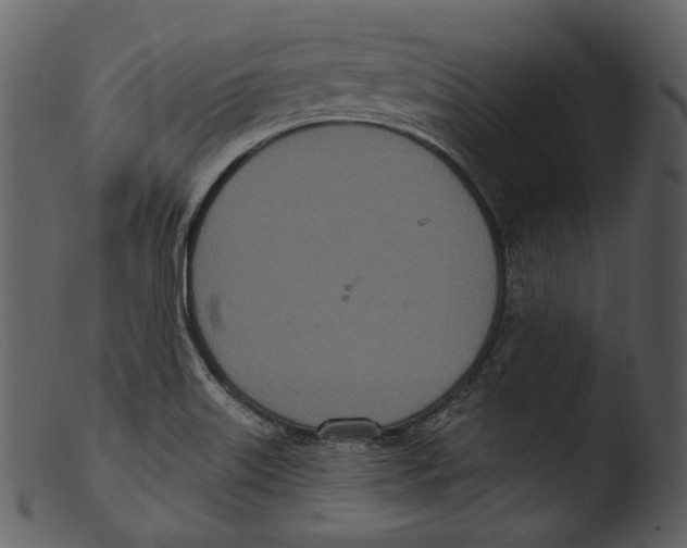 X0000103281515200809261213