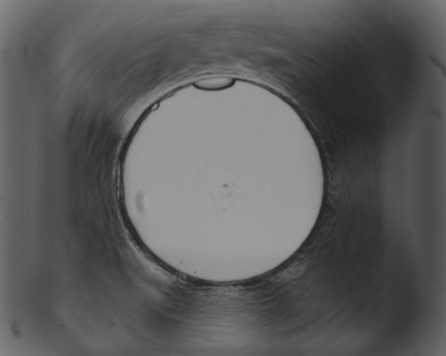 X0000103281519200809261213