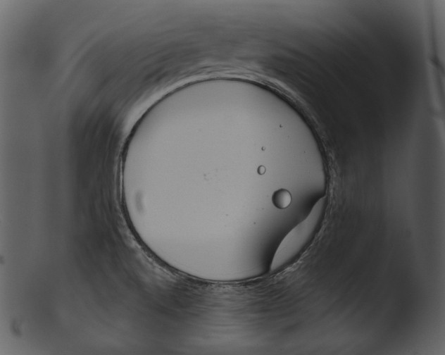 X0000103281520200809261213