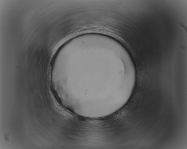 X0000103281522200809261213