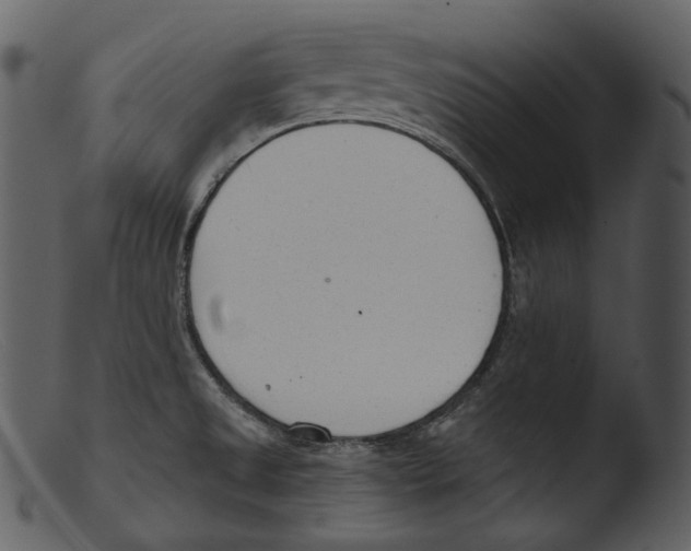 X0000103281525200809261213