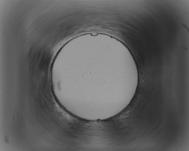 X0000103281527200809261213