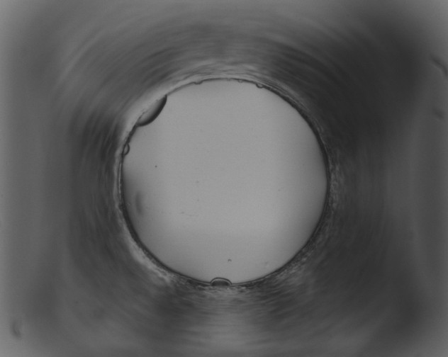 X0000103281528200809261213