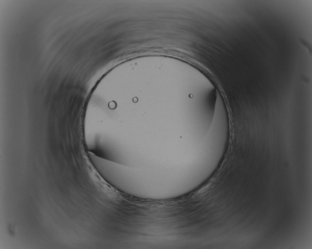 X0000103281530200809261213