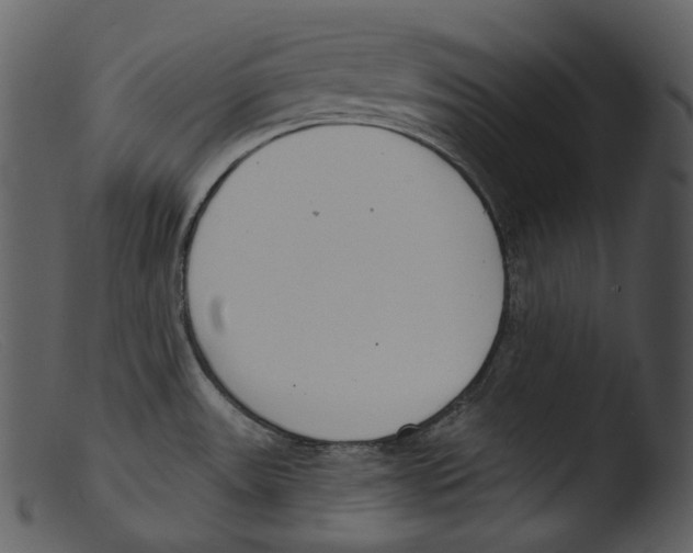 X0000103281531200809261213