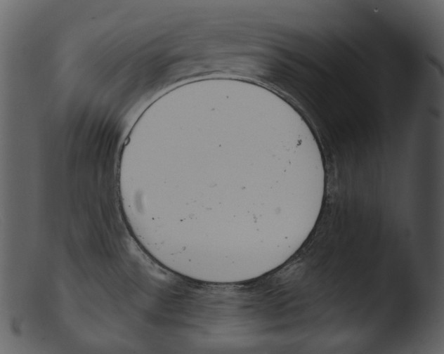 X0000103281532200809261213