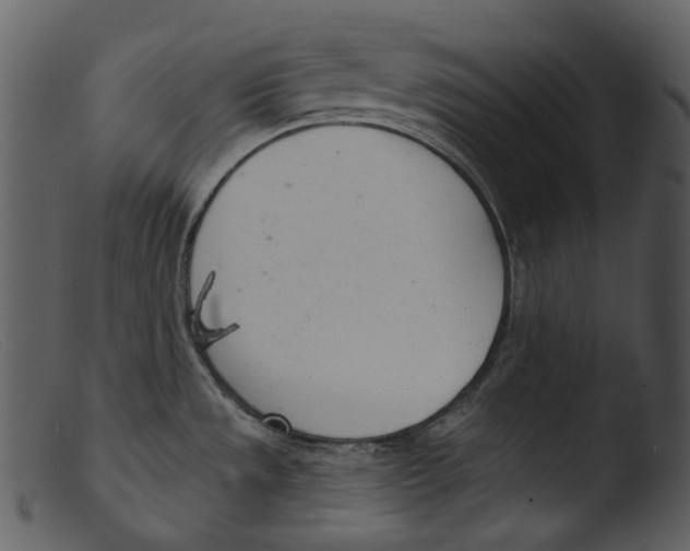 X0000103281533200809261213