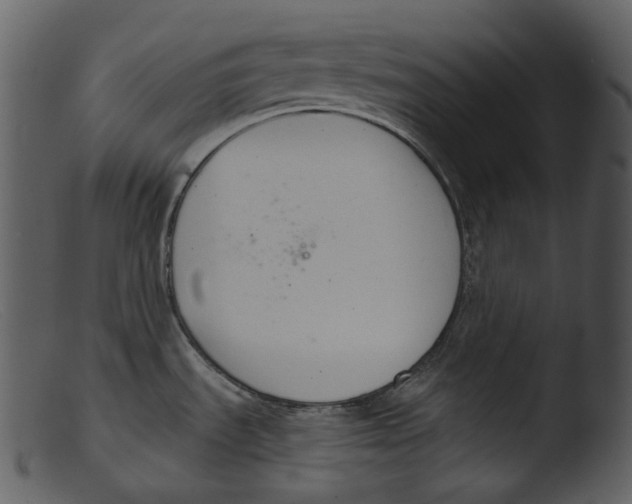 X0000103281535200809261213