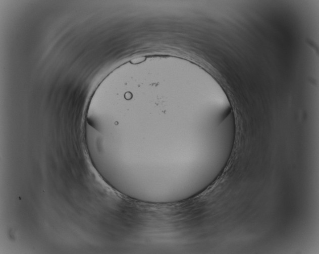 X0000103281536200809261213