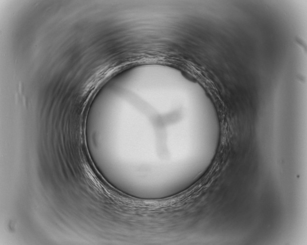 X0000103290002200808291118