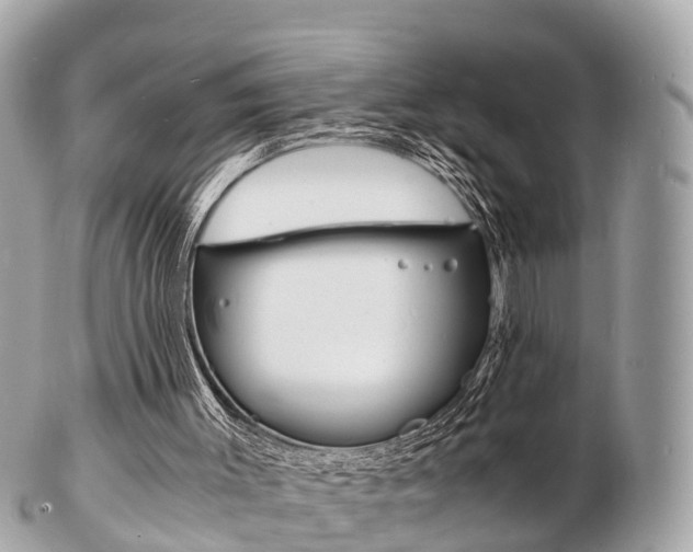 X0000103290003200808291118