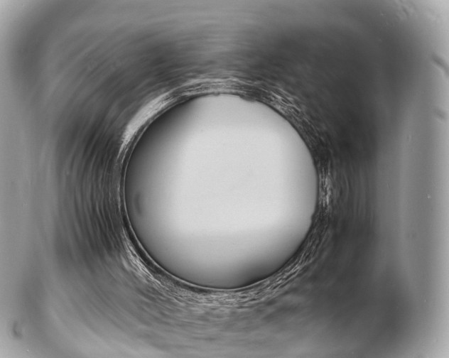 X0000103290004200808291118