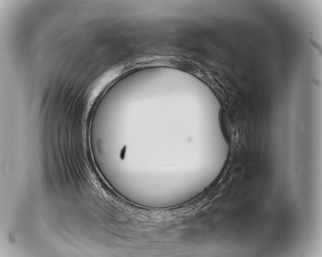 X0000103290006200808291118