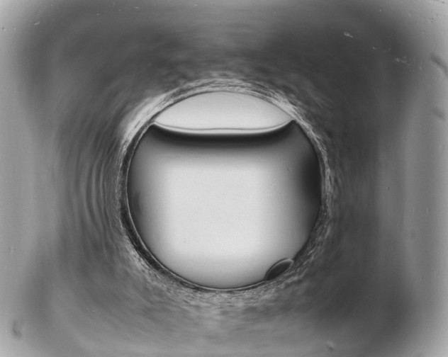 X0000103290007200808291118